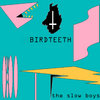 birdteeth/the slow  boys ride again Cover Art