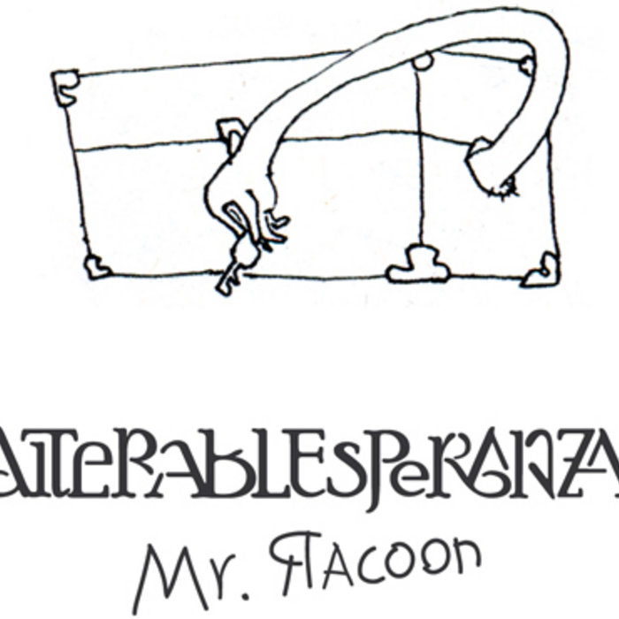 MrRacoonSrMapache