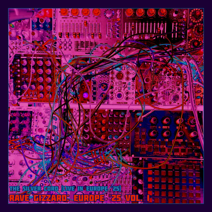 The Silver Cord (Rave Gizzard: Europe '25 Vol. 1) | King Gizzard