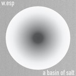 Will Esplin - A Basin of Salt