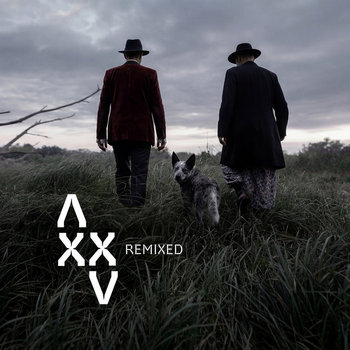 Xxv Remixed | Antix (Iboga Records) | Iboga Records