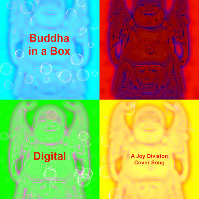 Digital (Joy Division) Buddha in a Box