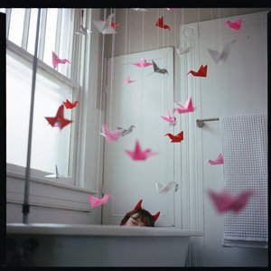 Maggie Halfman — Birds