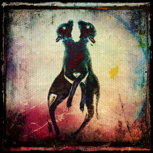 Split w/ The God Awful Truth cover