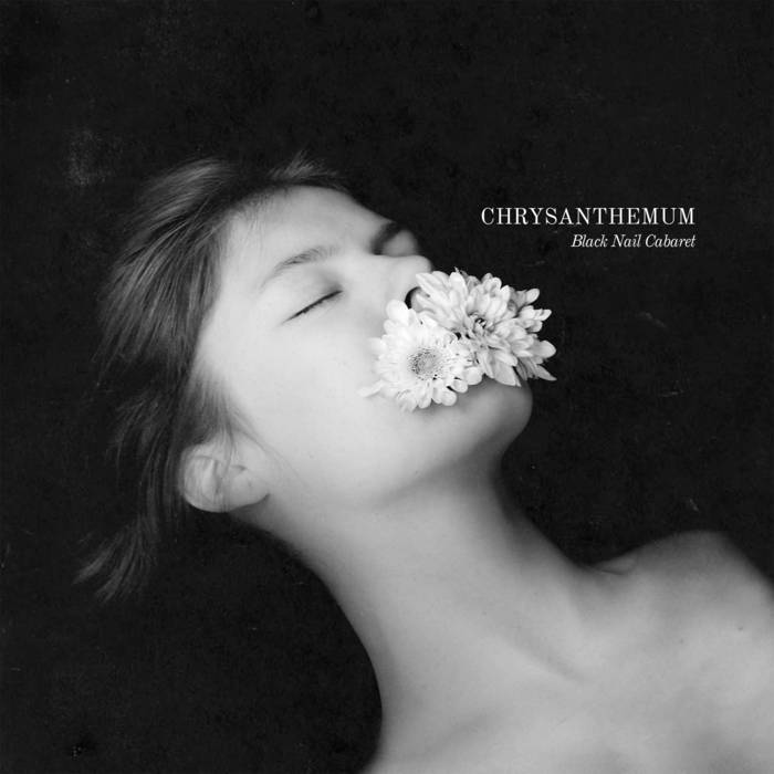 Chrysanthemum Black Nail Cabaret Chrysanthemum Black Nail Cabaret