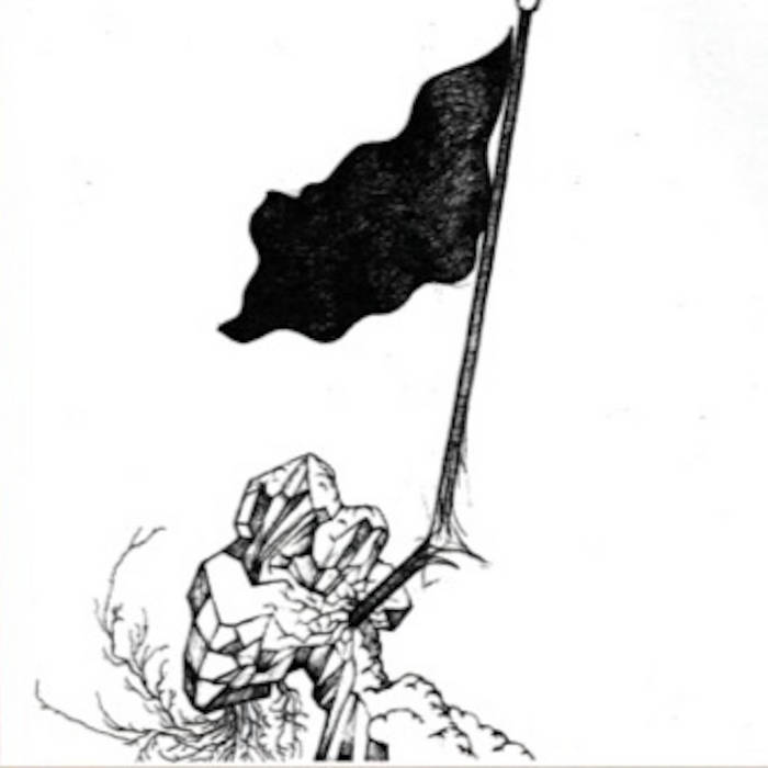 BLACK FLAG 1995年 MADE IN USA シングルステッチ BLACK FLAG 1995年 MADE IN USA シングルステッチ BLACK FLAG 1995年