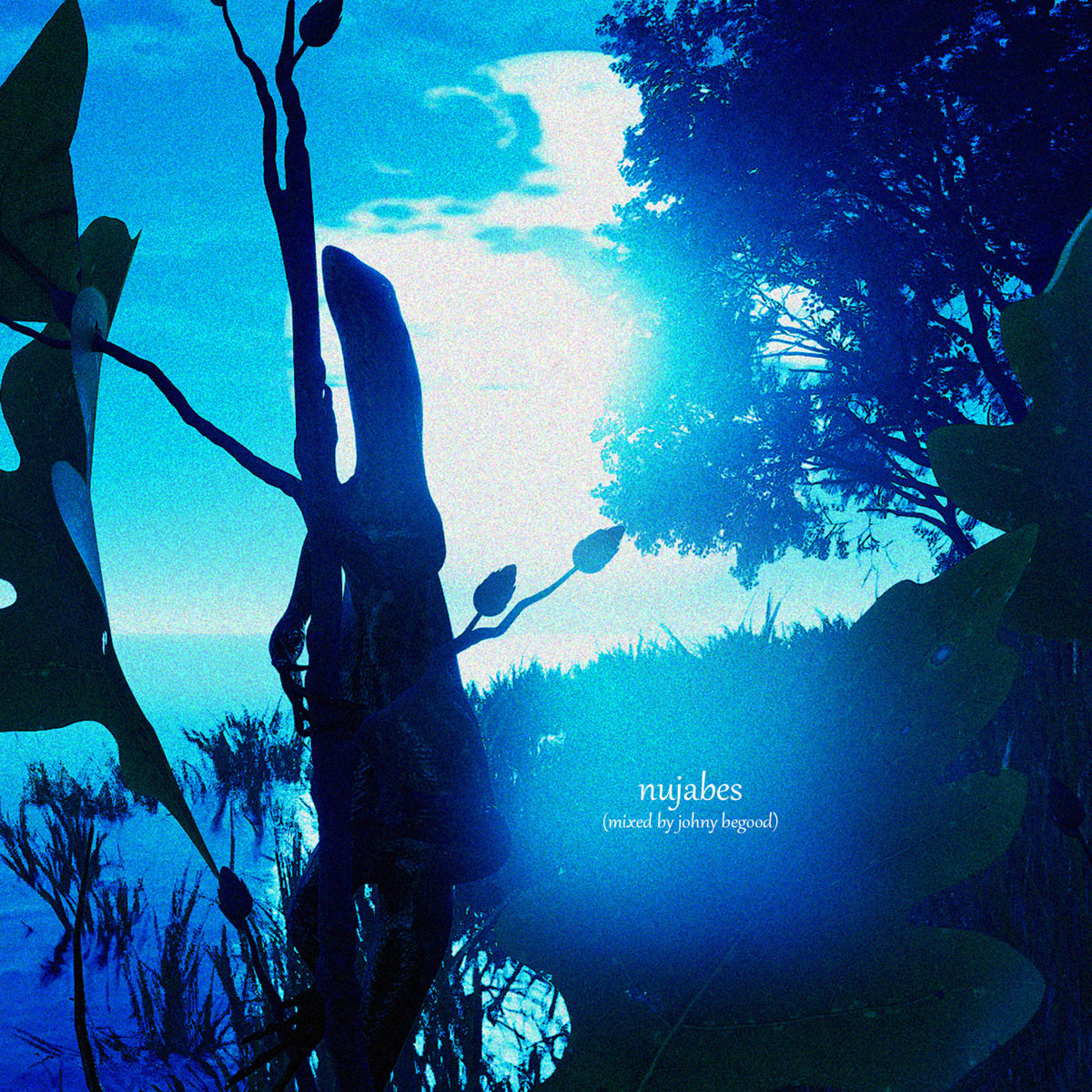 限定アートブックreach dedicated to nujabes Reach Dedicated To Nujabes Photo Book Koji Ota Limited to