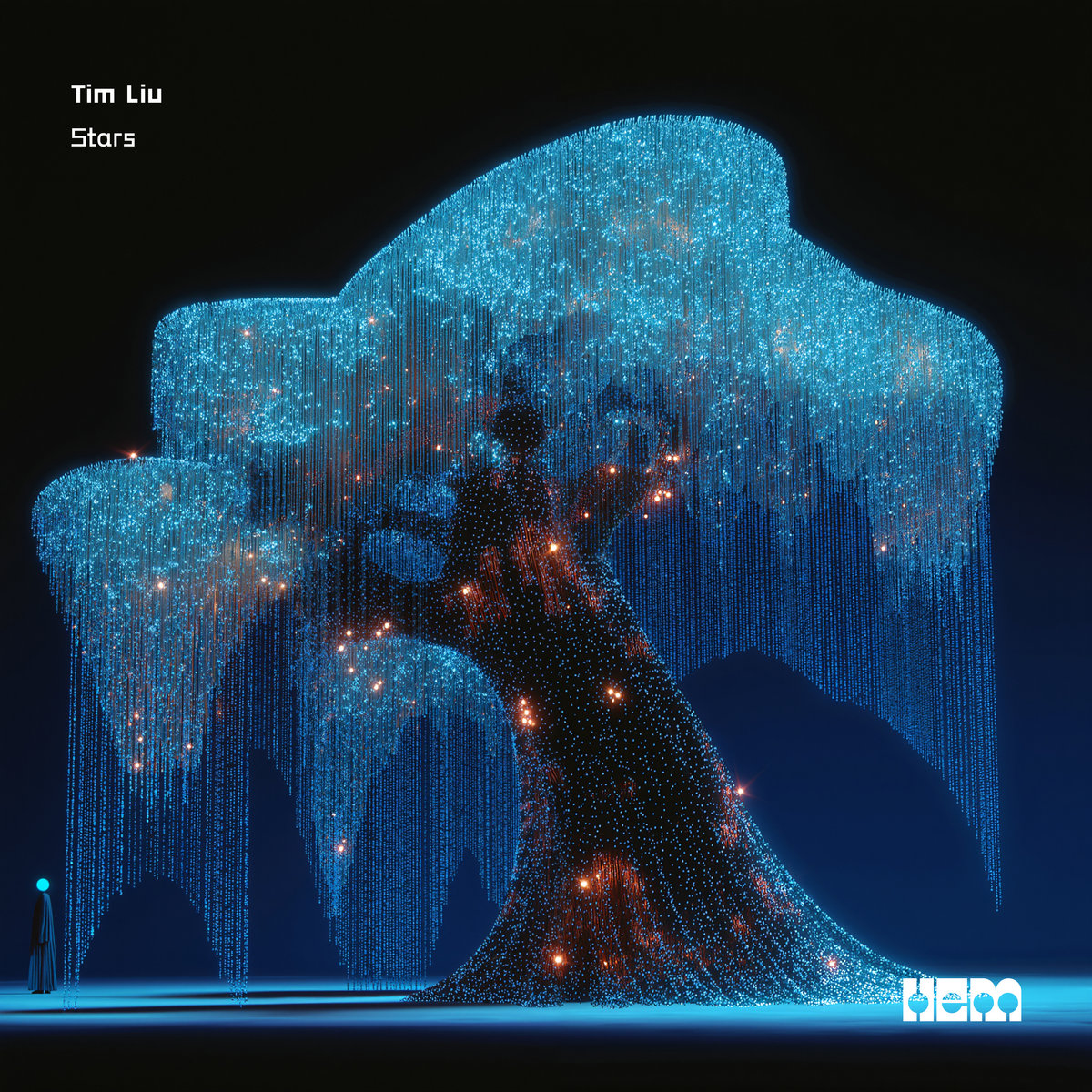 Stars | Tim Liu | HEM Records