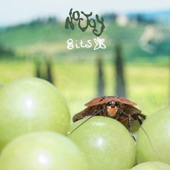 cover art