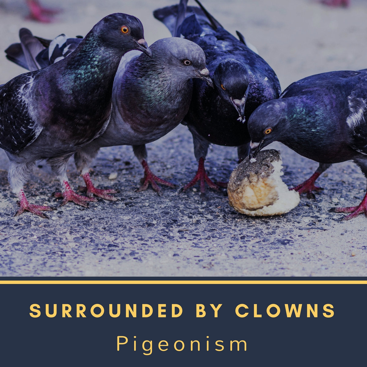 Pigeonism cover