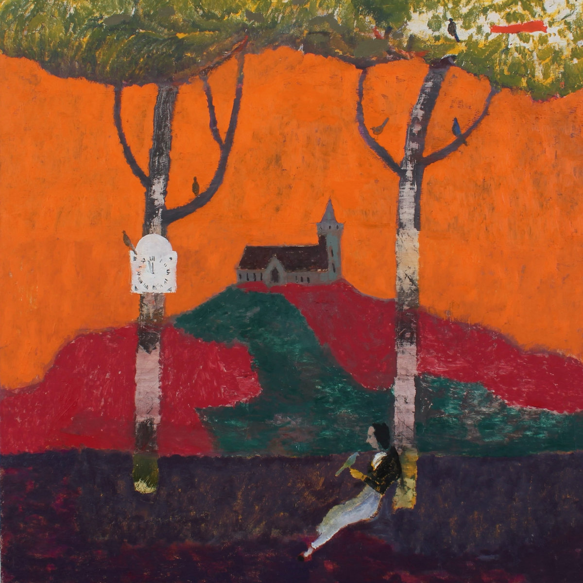 Asylum On The Hill by The Felice Brothers