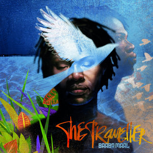 The Traveller (Special Edition) cover