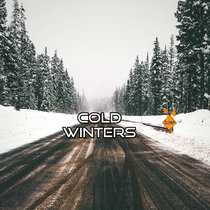 Cold Winters (Beat) cover art