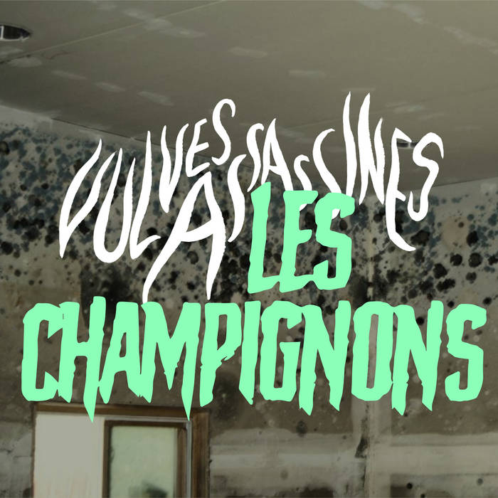 Music | Vulves assassines