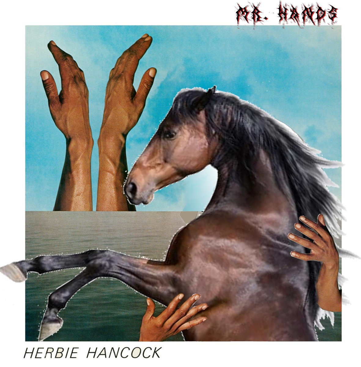 Mr hands real footage