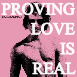 Proving Love Is Real cover
