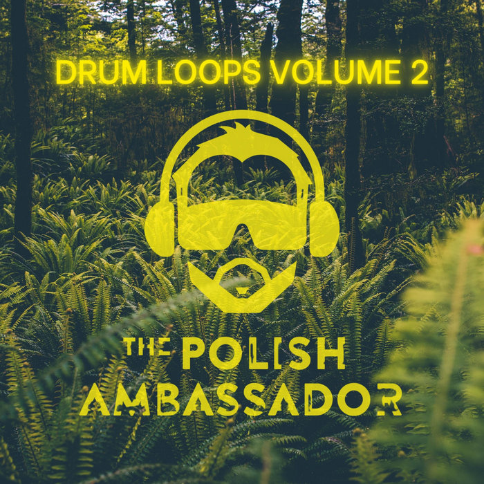 85 BPM Fake Plastic Trees Remix Drums The Polish Ambassador