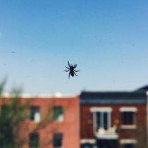 Live at La Vitrola, Montreal November 2017 cover art