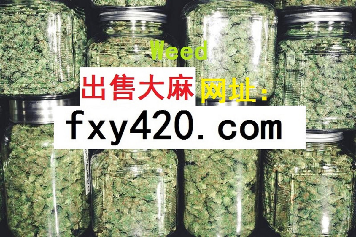 东方出售大麻 出售大麻