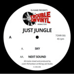 Just Jungle - Sky / Next Sound - Remasters