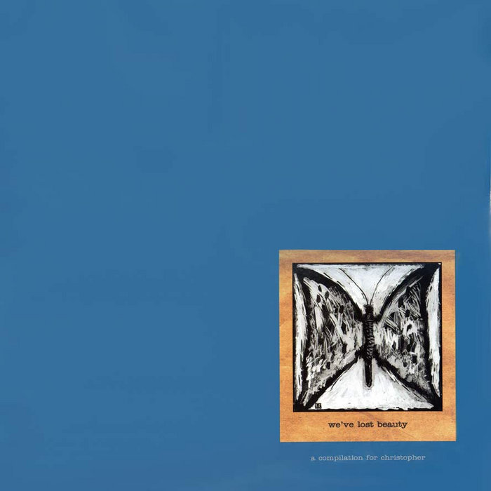 We've Lost Beauty | Various Artists | File 13 Records