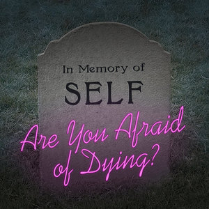 Are You Afraid of Dying? cover