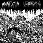 Anatomia/Undergang