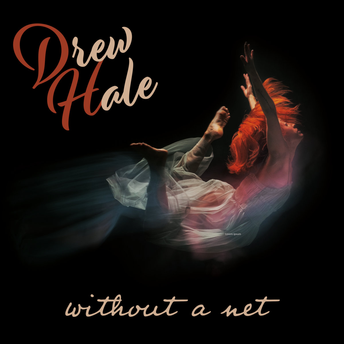Without a Net Drew Hale