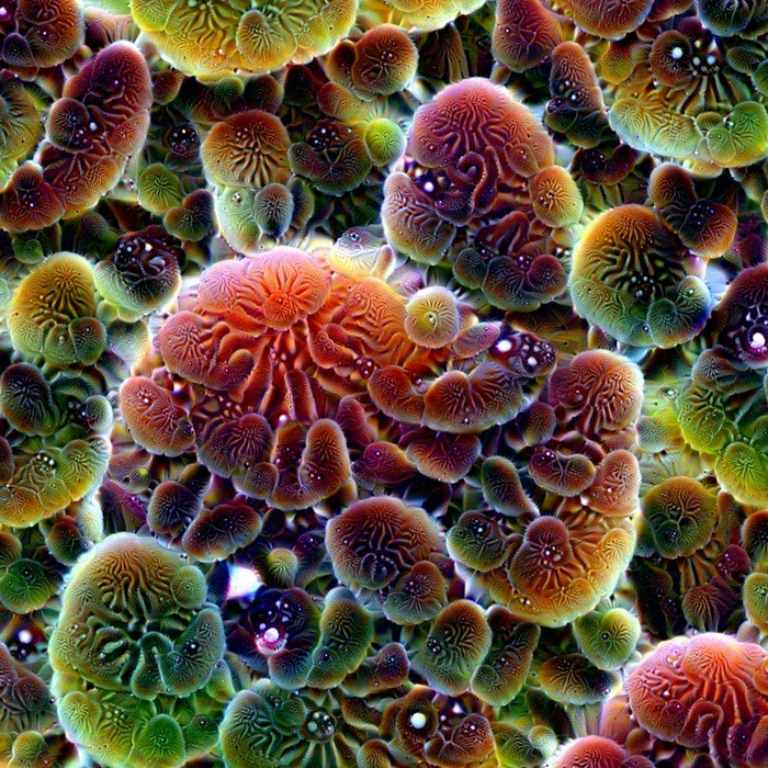 Lifeforms in the invisible world | Nemeton