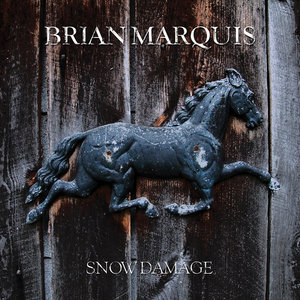 Snow Damage cover