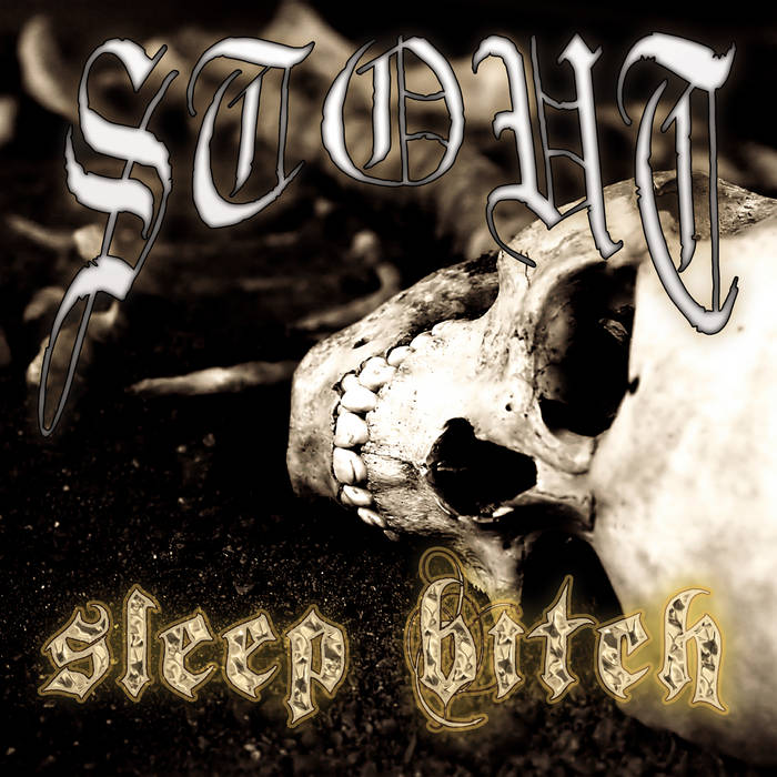 【入手困難】STOUT/SLEEP BITCH STOUT Sleep Bitch (2024 Remaster) | Stout | A389 Recordings