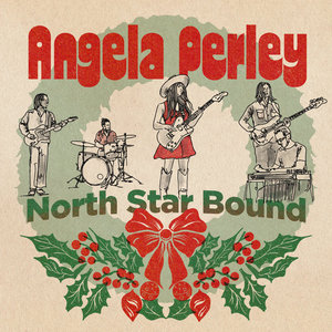 North Star Bound cover