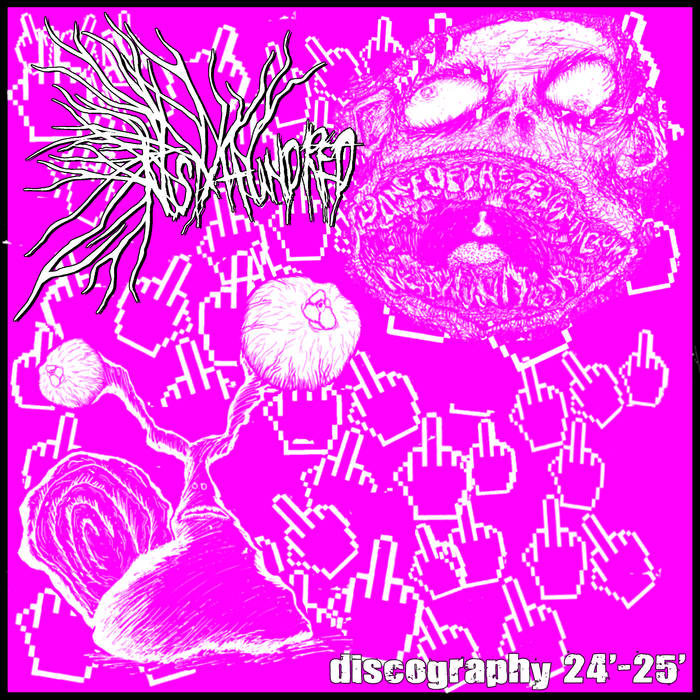 アルバム・スクラップ emi Discography '24-'25 | NSIXHUNDRED | Zegema Beach Records
