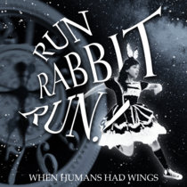 RUN RABBIT RUN! cover art