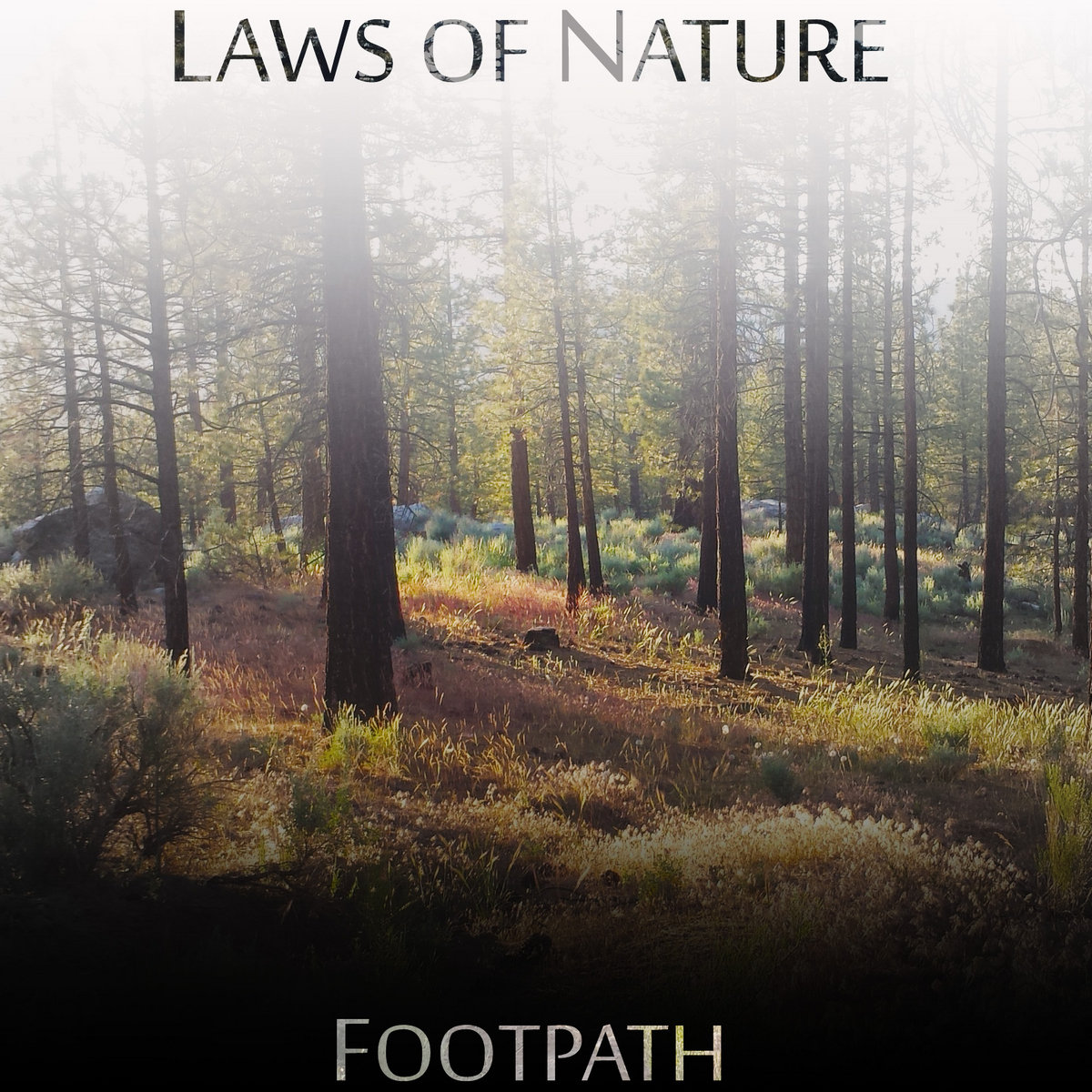 Laws of Nature
