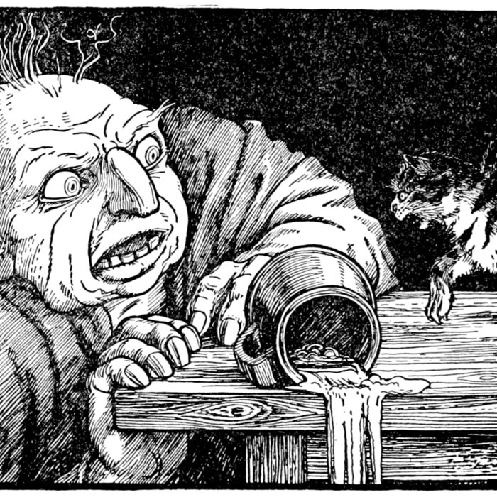 Fairy Tale Retreat Ogre Magician