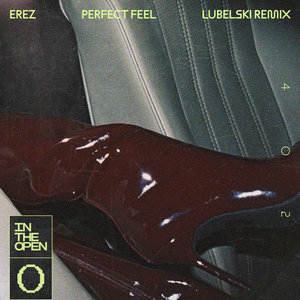 EREZ - Perfect Feel (Lubelski Keeps On Going Remix) cover