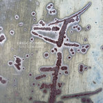Lost Language