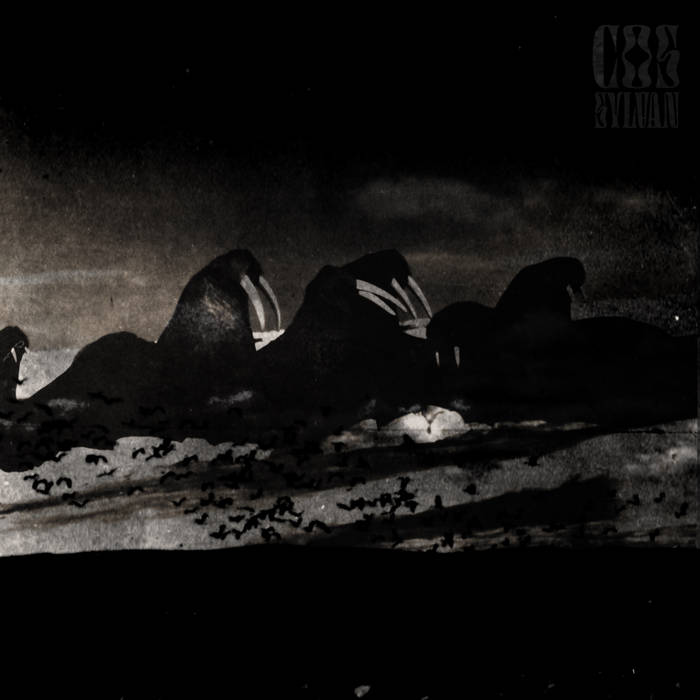 Everybody's Dog Cos Sylvan