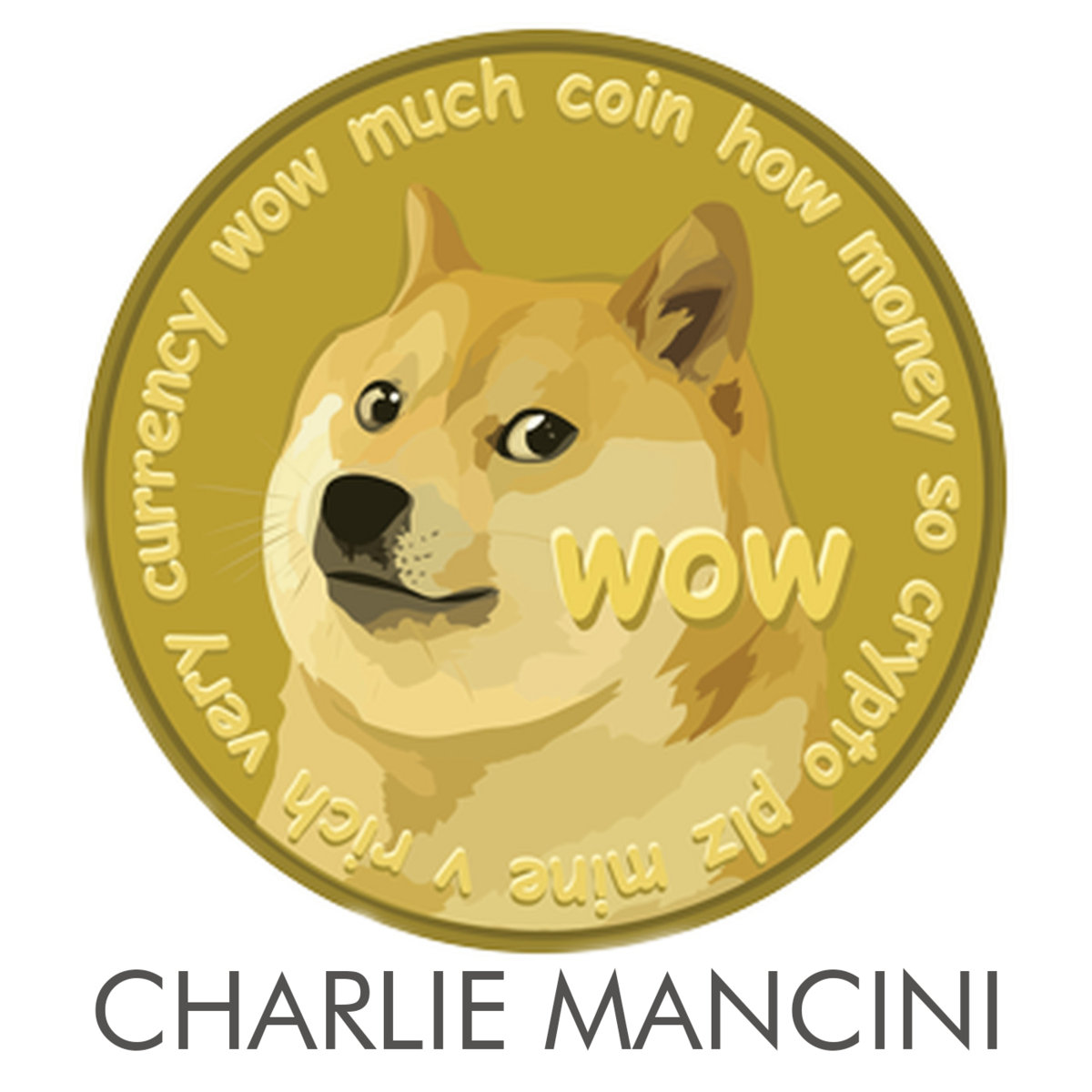 DOGECOIN to the moon and beyond! | Charlie Mancini