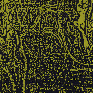 Tunnel Birth cover
