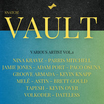 Various Artists — Snatch! Vault - Various Artists Vol.1