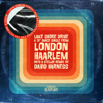 Lake Shore Drive (inc. David Harness Remix) cover art