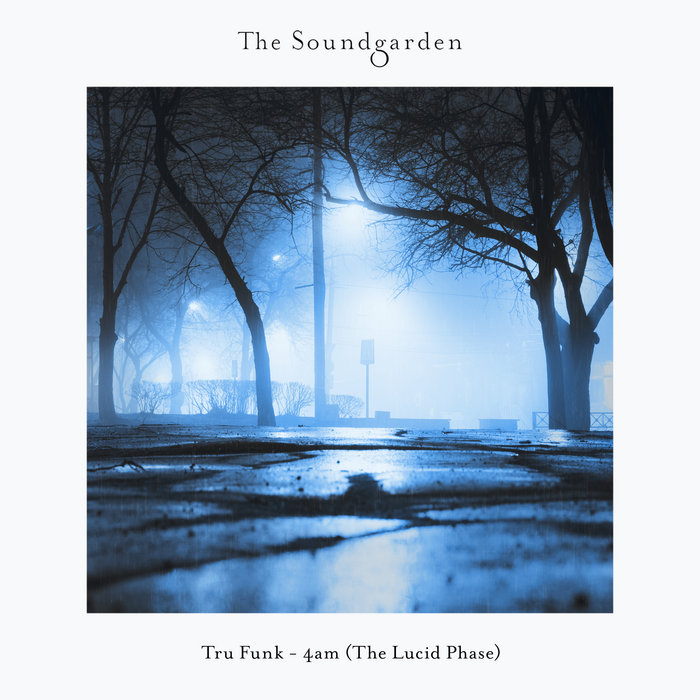 4am (The Lucid Phase) | Tru Funk | The Soundgarden