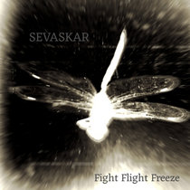 Fight Flight Freeze cover art