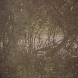 Night Heron cover