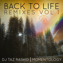 Back To Life Remixes Vol.1 cover art