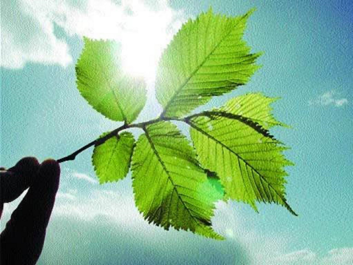 Blue sky thinking Stephen Irving