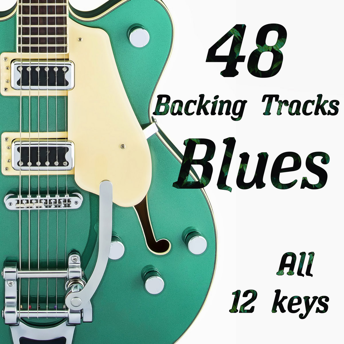 The Ultimate Blues Jam collection 48 Backing Tracks Blues Backing