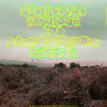 Multi-level Systems and Multi-dimensional Rhythms cover art